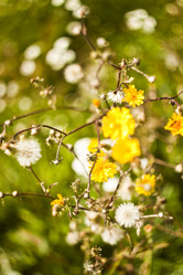 Similar image 783124