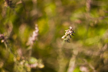 Similar image 783127