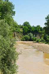 Similar image 783146