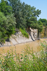 Similar image 783149