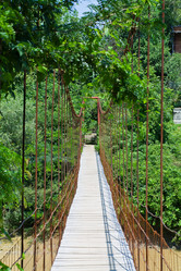 Similar image 783154