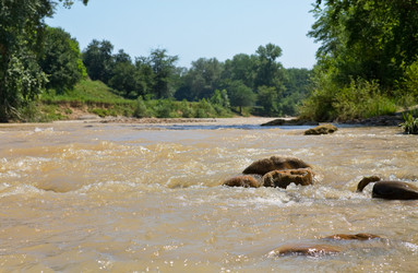 Similar image 783164