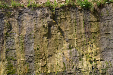 Similar image 783221