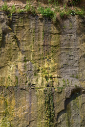 Similar image 783224