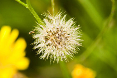 Similar image 783248