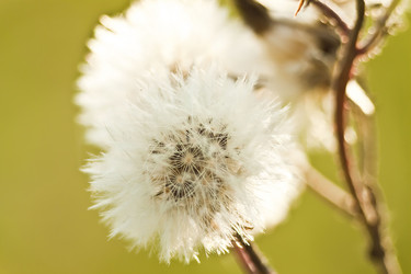 Similar image 783249