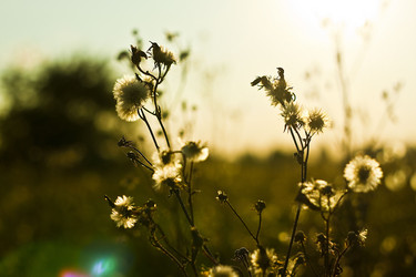 Similar image 783260