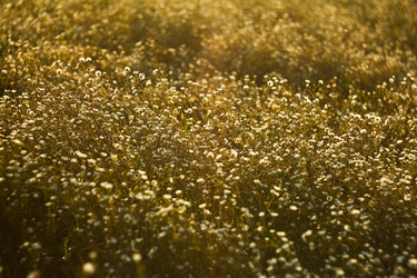 Similar image 783261