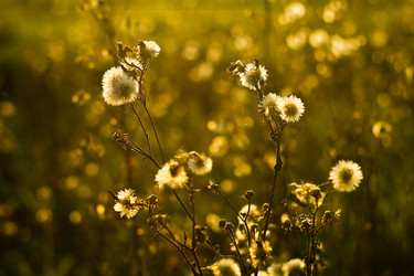 Similar image 783264