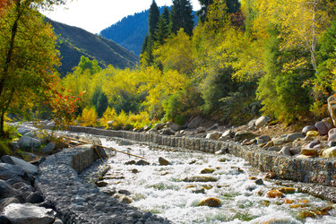 Similar image 783283