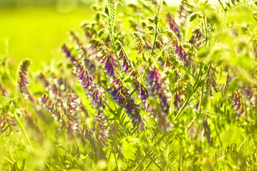 Similar image 783292