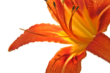 Similar image 783293