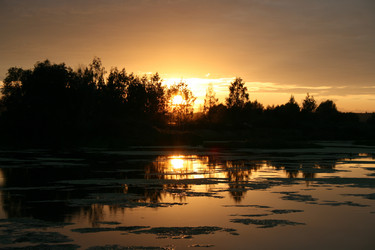 Similar image 783423