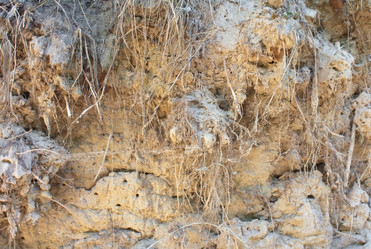 Similar image 783427