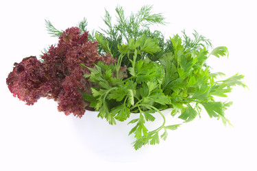 Similar image 783433