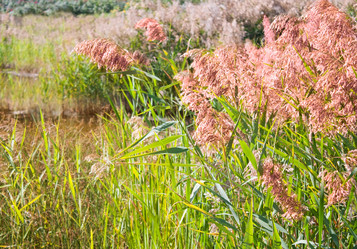 Similar image 783434