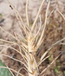 Similar image 783436