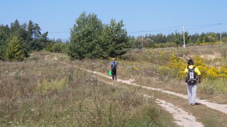 Similar image 783438