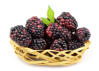 Similar image 783463