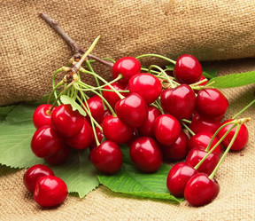 Similar image 783468