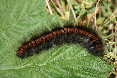 Similar image 783471