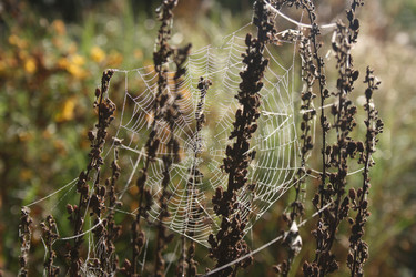 Similar image 783474