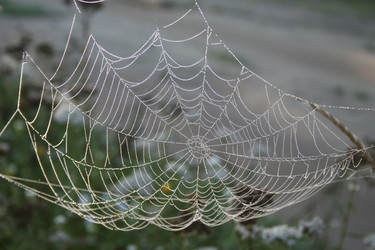 Similar image 783475