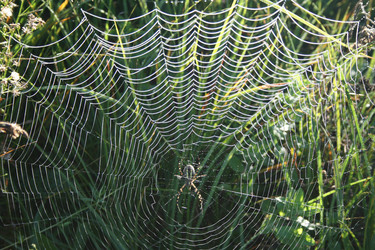 Similar image 783476