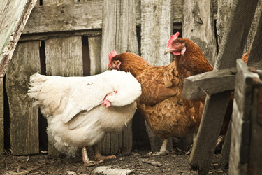 Similar image 783483