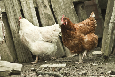 Similar image 783484