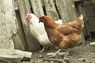 Similar image 783485