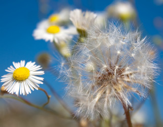 Similar image 783498