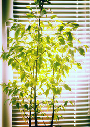 Similar image 783502