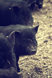 Similar image 783511