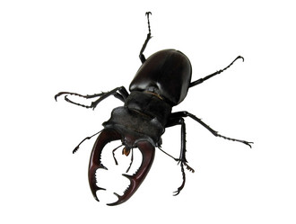 Similar image 783518