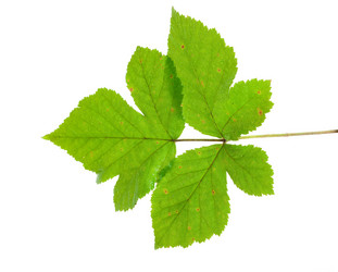 Similar image 783549