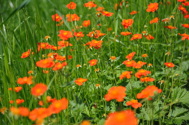 Similar image 783571