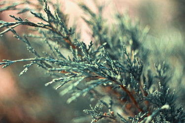 Similar image 783577