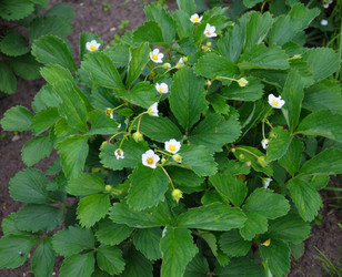 Similar image 783578