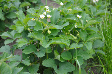 Similar image 783579