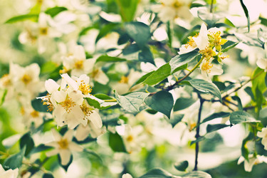 Similar image 783582