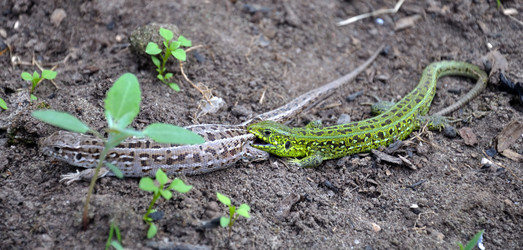 Similar image 783593