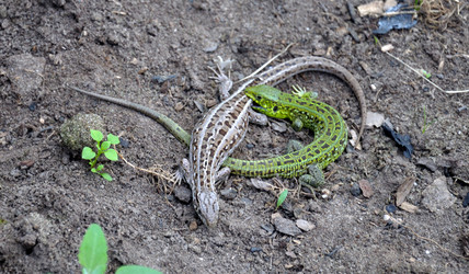 Similar image 783594