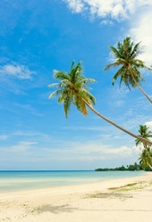 Similar image 783629