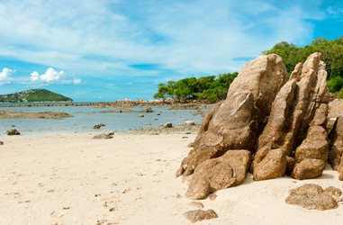 Similar image 783643