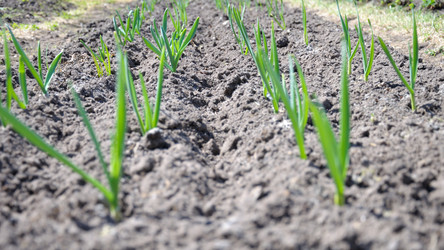 Similar image 783644