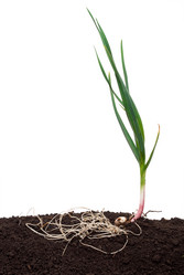 Similar image 783648