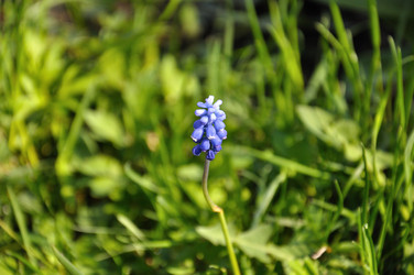 Similar image 783669