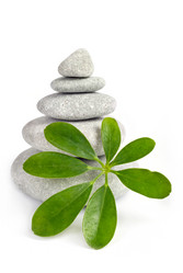 Similar image 783710