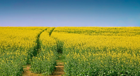 Similar image 783716